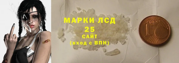 индика Слюдянка