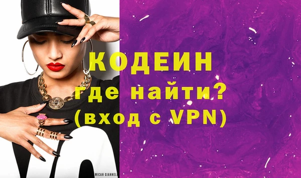 индика Слюдянка