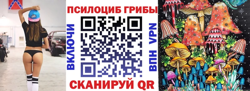 Псилоцибиновые грибы Cubensis  хочу наркоту  Дудинка 