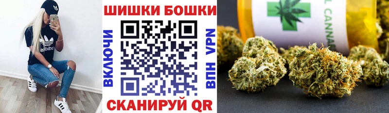 купить закладку  Дудинка  Бошки Шишки сатива 